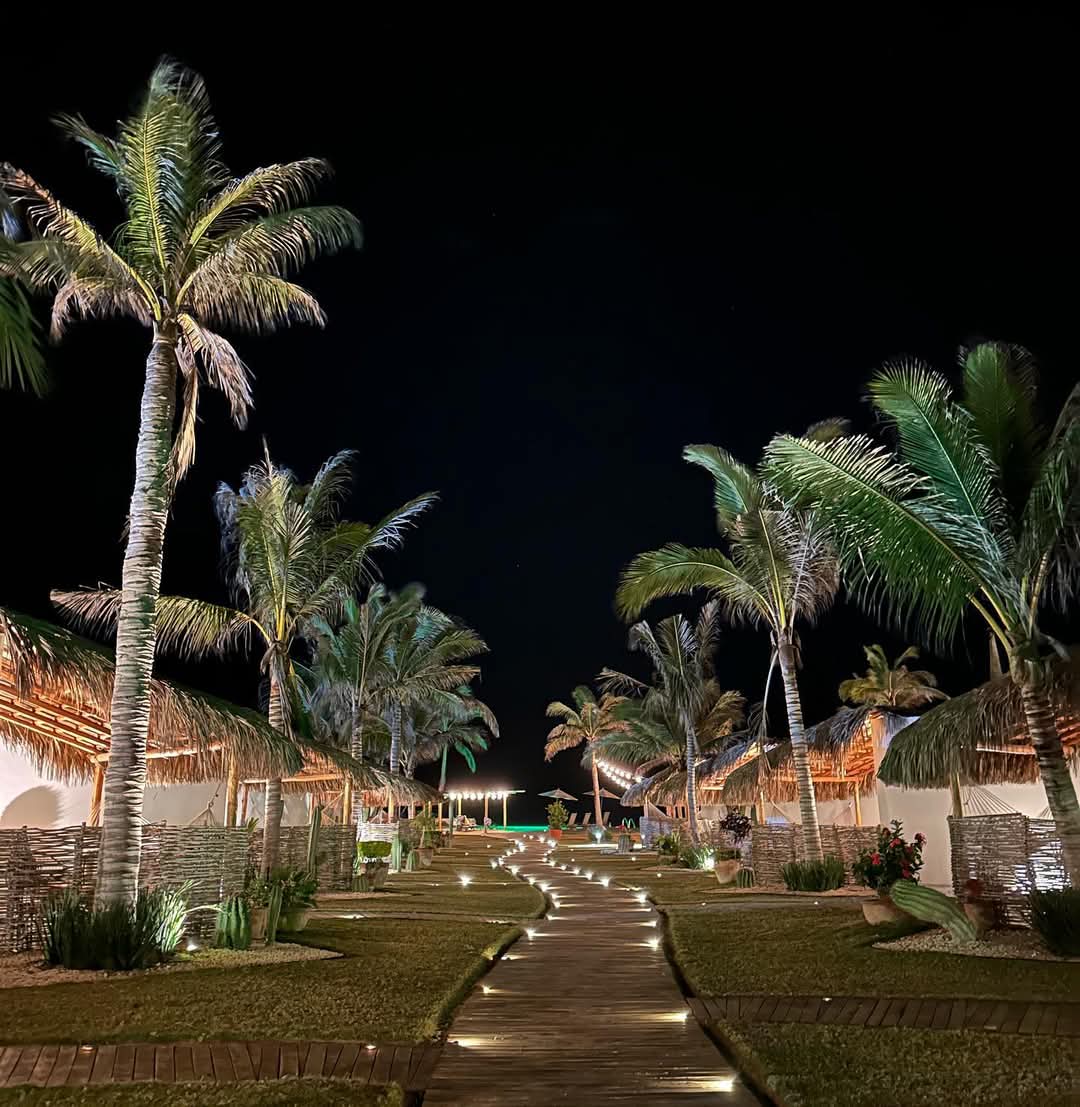 Andador iluminado entre palmeras rumbo a la playa de noche